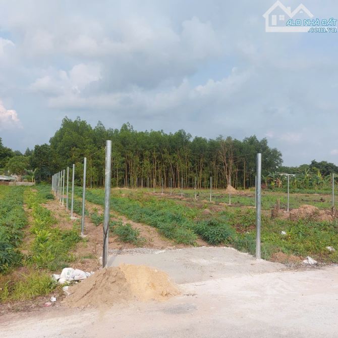 BÁN ĐẤT AN VIỄN (TRẢNG BOM) GẦN KHU CÔNG NGHIỆP, NHÀ THỜ - 2
