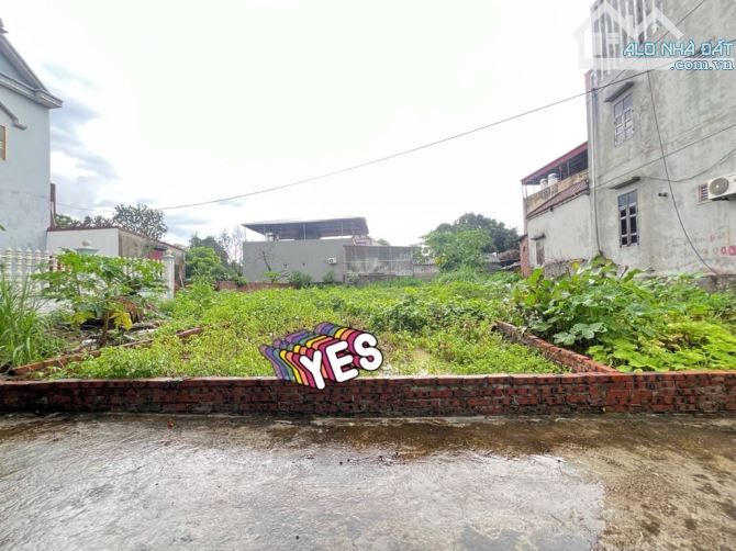 Lương Tài Bắc Ninh, ô tô nhỏ vào đất, gần sân bay Gia Bình - 2