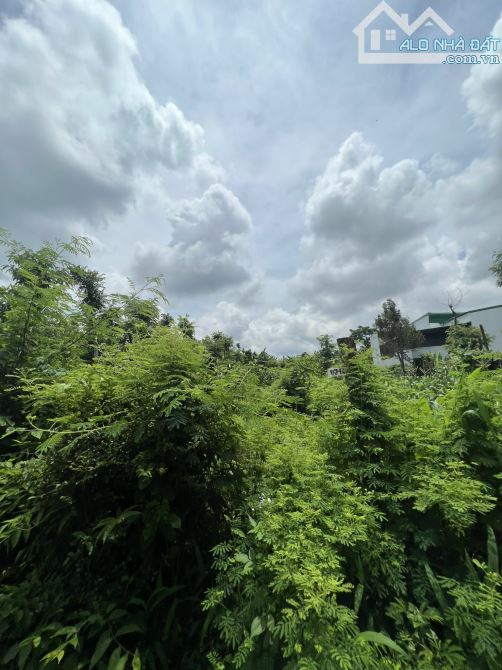 🪩 BÁN ĐẤT BIỆT THỰ THÔN 6 CƯBUR PHẠM NGŨ LÃO 🪩 - 2