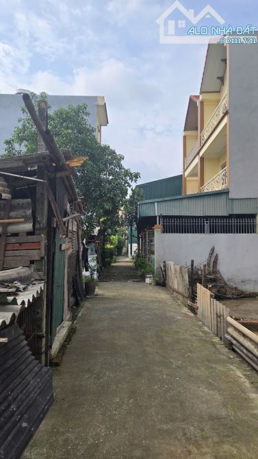 🚀 BÁN GẤP LÔ ĐẤT 85.6M² TẠI TÂN LẬP – ĐƯỜNG Ô TÔ – VÀI BƯỚC RA VIN ĐAN PHƯỢNG! - 2