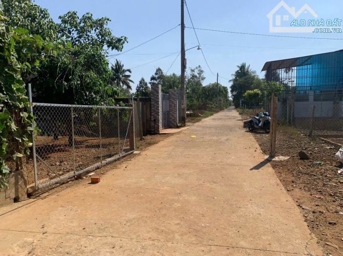 🅿️❇️Đất đương Ka8, Eatu, Phường Tân An, Cách Vành Đai 14-26 chỉ 170m, 900 triệu, 5x20m❇️ - 2