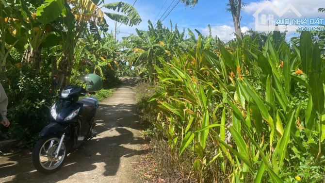 (40x25) b.á.n đất gần QL50 Bình Đông, TP Gò Công , Tiền Giang giá 1 tỷ - 2