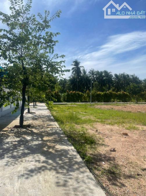 CÓ 1 MẢNH ĐẤT – ĐỂ KHÔNG CÒN PHẢI Ở TRỌ - 2