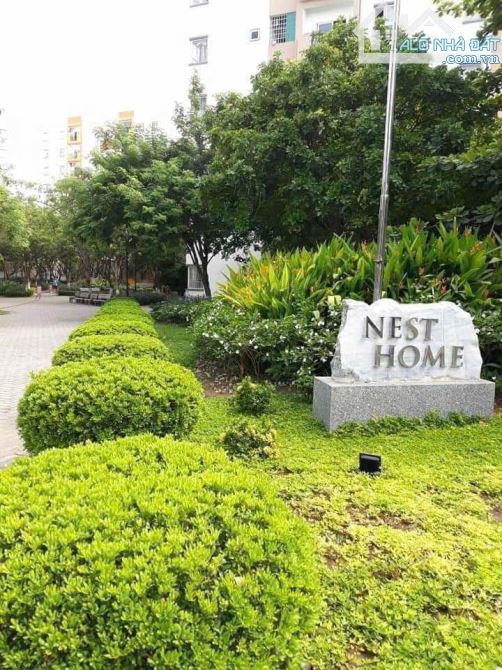 CHUYỂN VÀO QUẢNG NAM SỐNG GIA ĐÌNH TÔI CẦN BÁN CĂN HỘ TẦNG 2 CHUNG CƯ NESTHOME SƠN TRÀ - 2