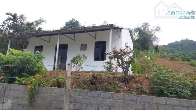 siêu phẩm nghỉ dưỡng view cánh  đồng - 2