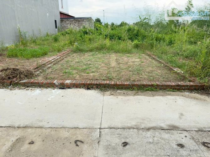 Bán Gấp Lô Đất Vị Trí Vàng Tại Thôn Ấp Tre, Xã Quang Minh - Mê Linh - Hà Nội - 2