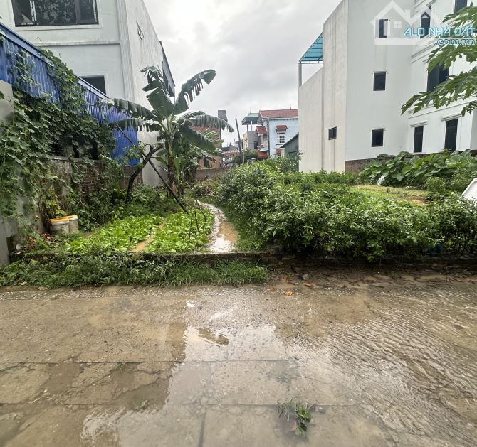 Bán đất , Bắc Hồng , Phúc Thịnh , Đông Anh 60m2 , MT4m thông ô tô - 2