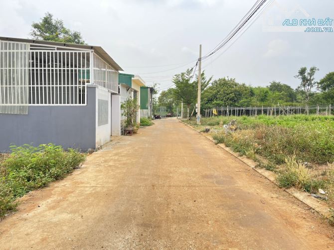 💥Đất TC 5*25m,hẻm Vành Đai,hẻm 327 Ymoan Nối Dài,nhiều lô khác - 2