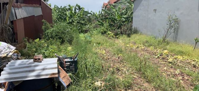 Cần bán 155m đất đẹp tại Xã Phụng công Văn giang - 2