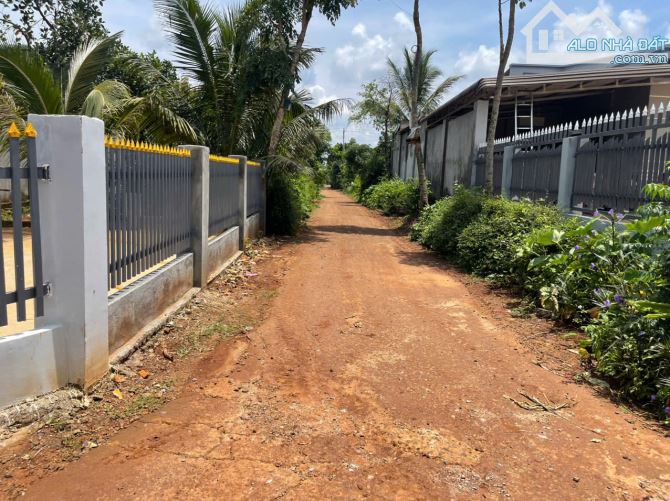 💥Đất TC 12*40m,Đường A3,Phạm Ngũ Lão thôn 6,Phường Buôn Ma Thuột,gần Vành Đai - 2