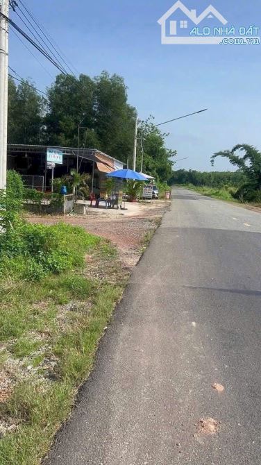 Bán vườn sầu riêng trồng 1 năm diện tích 1,2 hecta giá chỉ 3 tỷ - 2
