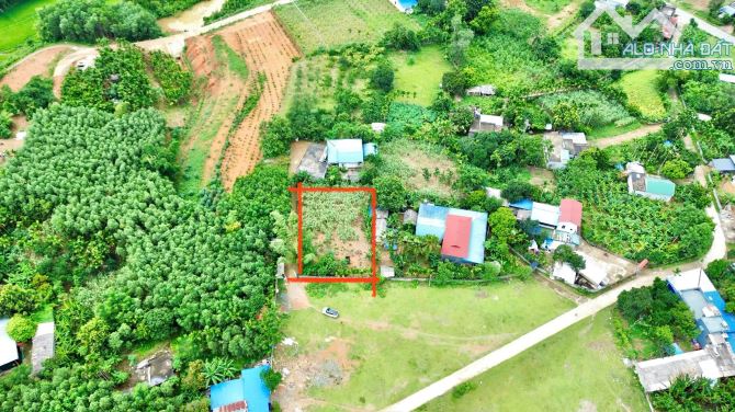 778m Full Đất Ở - Mặt tiền 21m - Phân Lô Đẹp - Cách Quốc Lộ 12B Đúng 400m - 2