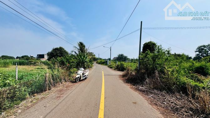 🔺XÃ ĐẤT ĐỎ TP HỒ CHÍ MINH CÁCH BIỂN HỒ TRÀM 15phút   DT 1000m2 có 100tc ngang 11,4x89m  ✅ - 2