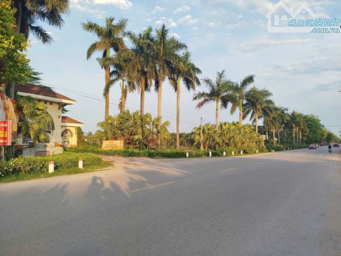 Bán đất Thanh Lâm Mê Linh Hà Nội Trục Chính Đường 23bB - 2