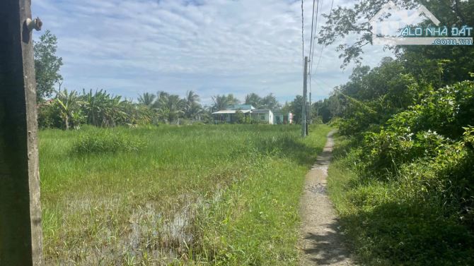 (40x25) b.á.n đất gần QL50 Bình Đông, TP Gò Công , Tiền Giang giá 1 tỷ - 3