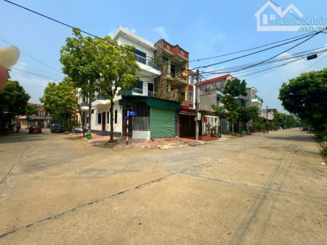 Bán đất 100m2 hướng Đông Bắc khu Giàn Chiếu, Hợp Thịnh, Tam Dương, Vĩnh Phúc - 3