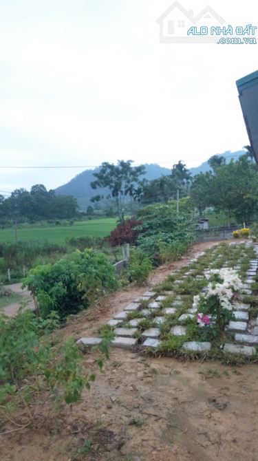 siêu phẩm nghỉ dưỡng view cánh  đồng - 3