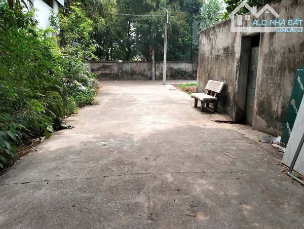bán 52m đất võng xuyên phúc thọ - 3