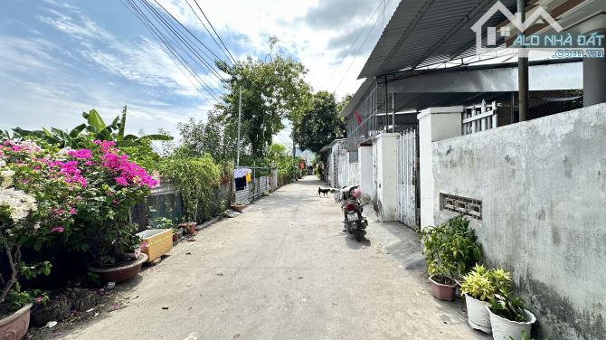 ĐẤT 379,8M² – TẶNG 5 NHÀ CẤP 4 – VỪA Ở VỪA KINH DOANH NHÀ TRỌ - 3