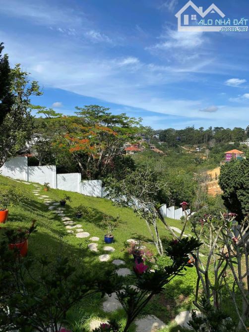 Đất lớn view đẹp Hoàng Hoa Thám Đà Lạt Thích hợp kinh doanh - 3