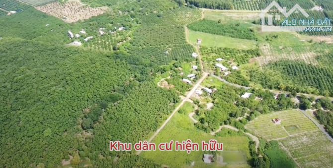 LÔ ĐẤT 5.8HA 2 MẶT TIỀN ĐƯỜNG NHỰA TÂN LÂM, SẴN THỔ CƯ, GIÁ CỰC RẺ CHỈ 400 TRIỆU/SÀO - 3