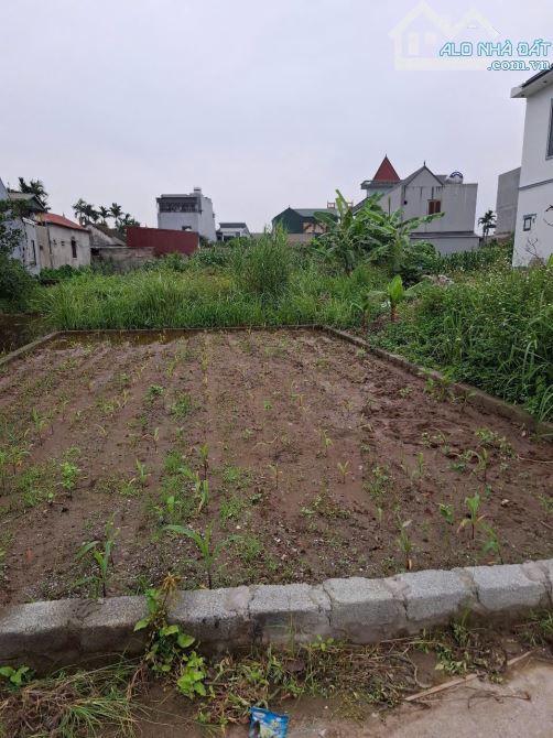 🚀 ĐẤT Xâm Xuyên - Hồng Vân - Thường tín - HÀ NỘI  🪴 Diện tích : 61m 🪴 Mặt tiền : 5,51m - 3
