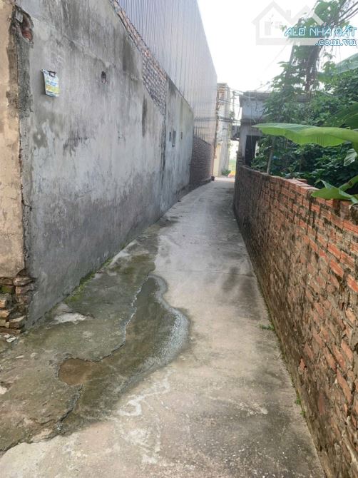 bán đất tặng nhà cấp 4 sạch sẽ ở ngay- gần cầu nhật tân, thành phố thông minh - 3
