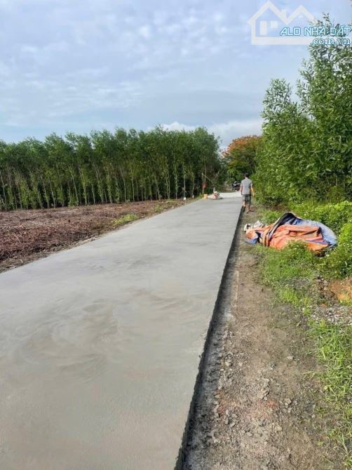 Bán 5m đất thổ cư xã Xuân trường,huyện Xuân Lộc,tỉnh đồng nai - 4