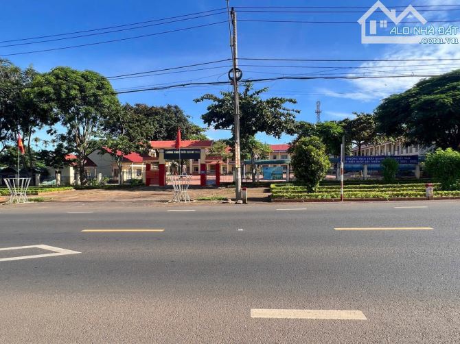 🔥 Siêu Phẩm Đất Lý – Tân An, Cách Quốc Lộ Chỉ 100m, Diện Tích Khủng 527m²! - 4