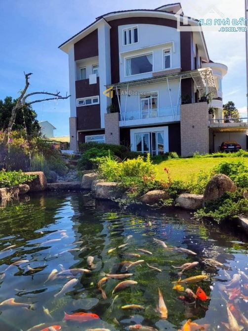 Dinh thự gần 1000m2 ngay trung tâm - khu biệt thự yên tĩnh - P8, Đà Lạt - 4