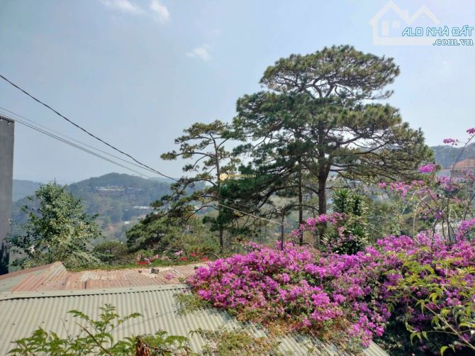 🌿 VILLA ĐẸP - VIEW THOÁNG - ĐƯỜNG ĐẶNG THÁI THÂN, P3, ĐÀ LẠT - 4