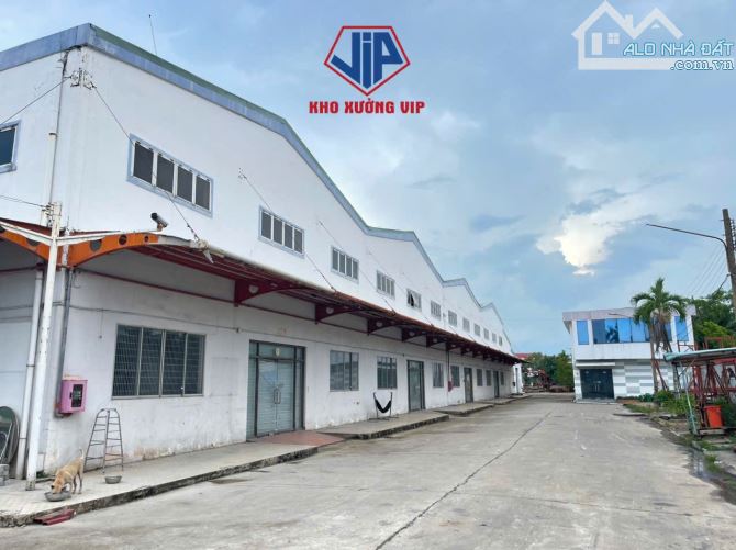 Cho thuê kho xưởng 3000m2, 5500m2, 11.000m2 , Lương Bình, Bến Lức, Long An - 4