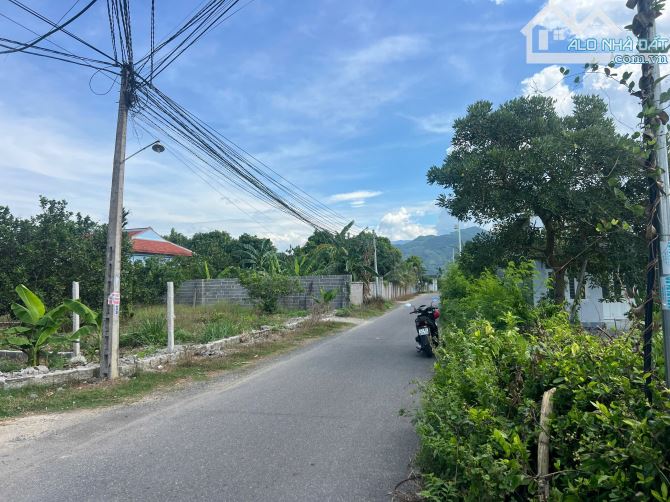 Lô gốc 2 mặt tiền đường nhựa Thành Hồ,cách TL2 1km - 4
