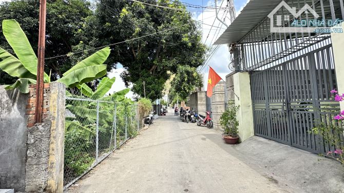 ĐẤT 379,8M² – TẶNG 5 NHÀ CẤP 4 – VỪA Ở VỪA KINH DOANH NHÀ TRỌ - 4
