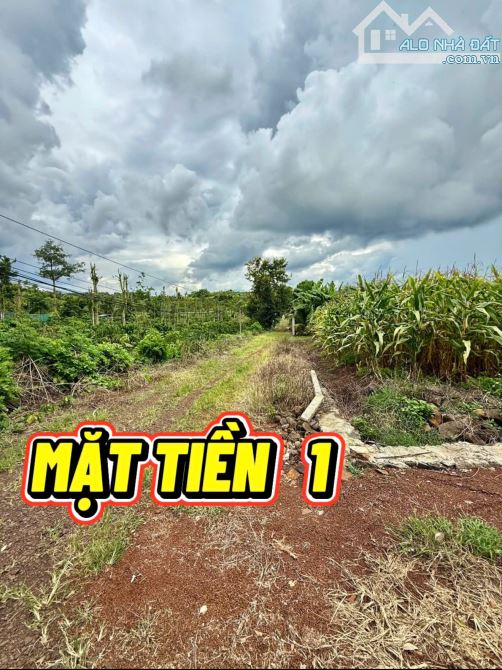 bán nhanh lô đất 3 mặt tiền thôn 4, cưbua, giá: 1.7 tỷ - 4