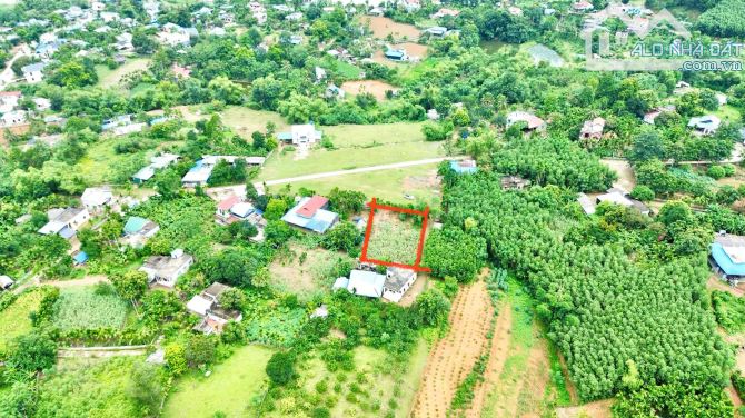 778m Full Đất Ở - Mặt tiền 21m - Phân Lô Đẹp - Cách Quốc Lộ 12B Đúng 400m - 4