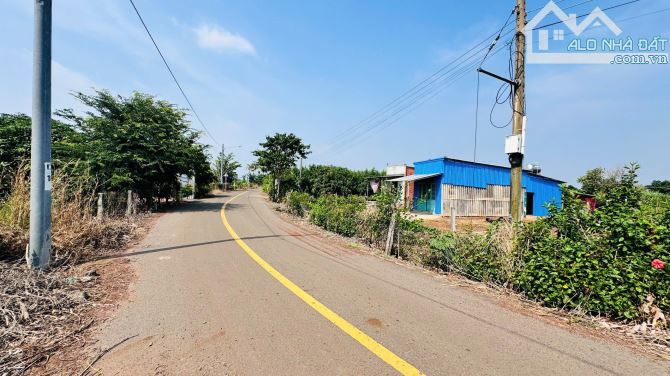 🔺XÃ ĐẤT ĐỎ TP HỒ CHÍ MINH CÁCH BIỂN HỒ TRÀM 15phút   DT 1000m2 có 100tc ngang 11,4x89m  ✅ - 4