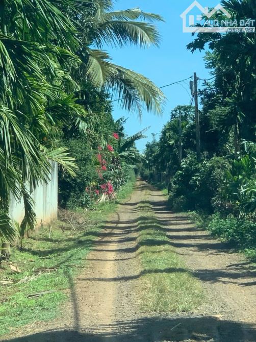CẦN BÁN ĐẤT  SÀO MẶT TIỀN ĐƯỜNG KA6 BUÔN KRÔNG A ,CÁCH  QL 14.VÀ CHỢ ĐẠT LÝ 1 CÂY  🌳🌳🌳 - 5
