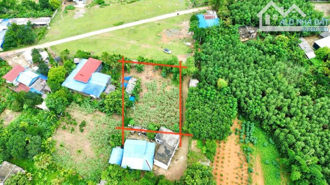 778m Full Đất Ở - Mặt tiền 21m - Phân Lô Đẹp - Cách Quốc Lộ 12B Đúng 400m - 5