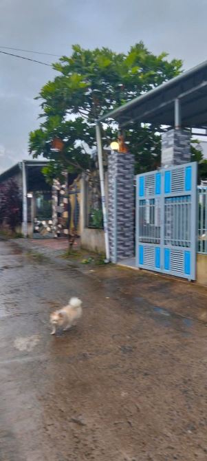 BÁN NHÀ  2 TẦNG ĐẤT 330M2 PHƯỜNG 3 THÀNH PHỐ BẢO LỘC 2TY950 - 6
