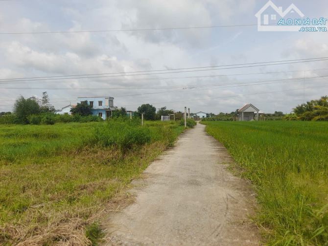 Quá rẻ, 1000m2 đất xây nhà vườn, 27 x37m, chỉ 680tr - 6