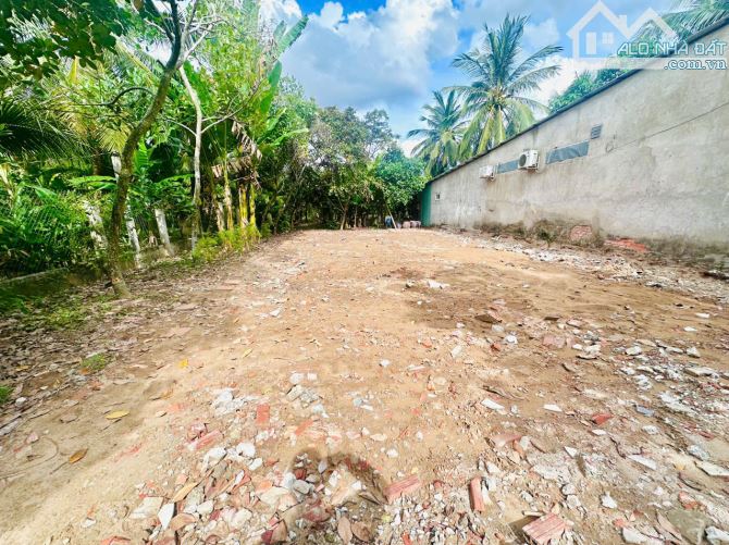 Bán đất CLN 3834m2 ở Ấp Miễu Hội, Xã Thạnh Phú, Châu Thành, Tiền Giang, 5,9 tỷ - 6