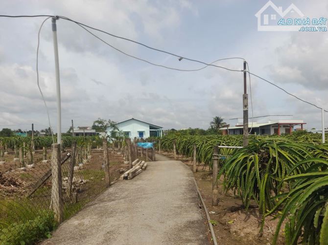 Quá rẻ, 1000m2 đất xây nhà vườn, 27 x37m, chỉ 680tr - 7