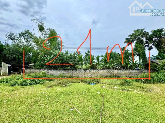 778m Full Đất Ở - Mặt tiền 21m - Phân Lô Đẹp - Cách Quốc Lộ 12B Đúng 400m - 7