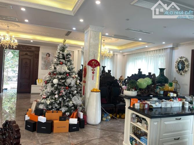 Siêu biệt thự 367m, dành cho giới tinh hoa, hiếm nhà bán VINHOMES RIVERSIDE - 9