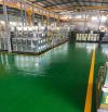 Bán nhà xưởng kiên cố 8500m Thuận An, Bình Dương. Sổ full SKC. Giá 115 tỷ. lvcc