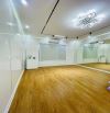 Siêu Phẩm VŨ TRỌNG PHỤNG - THANH XUÂN 30M2 X 5T. 10m ra mặt phố, giá 9 tỷ