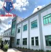 Cho thuê nhà xưởng mới xây dựng tại khu công nghiệp Phúc Long, Bến Lức, Long An