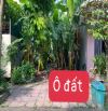 Bán đất 100m2 hướng Đông Bắc khu Giàn Chiếu, Hợp Thịnh, Tam Dương, Vĩnh Phúc