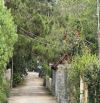Bán đường Trần Quang Diệu, Phường 10, Đà Lạt view đẹp vĩnh viễn ngay Dinh I